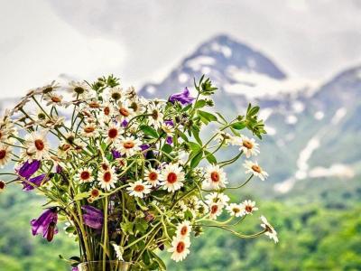 Красная Поляна