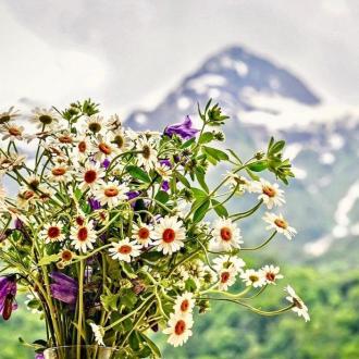 Красная Поляна | Фото 1