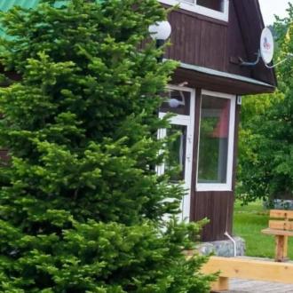 СОК «Кедровый» | Фото 2