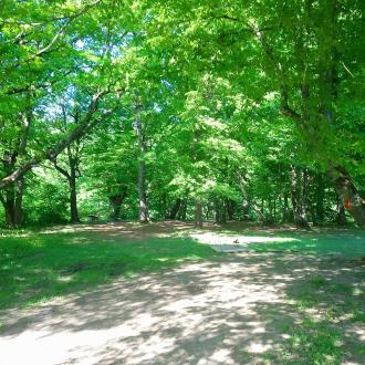 Абаго | Фото 10