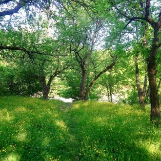 Абаго | Фото 11