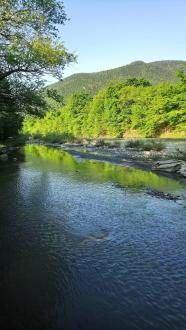 Абаго | Фото 12