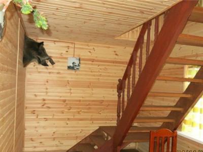 База отдыха Олений хутор