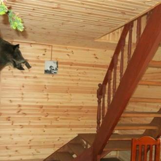 База отдыха Олений хутор | Фото 1