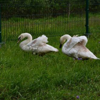 База отдыха Олений хутор | Фото 6