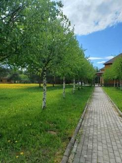 Парк-отель Чеснава | Фото 23