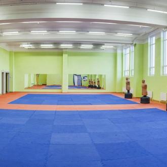 ГАУ ДО РО «СШОР «Академия единоборств» | Фото 3