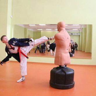 ГАУ ДО РО «СШОР «Академия единоборств» | Фото 7