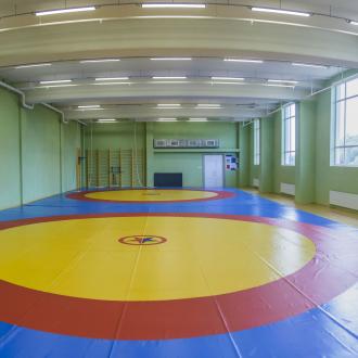 ГАУ ДО РО «СШОР «Академия единоборств» | Фото 16