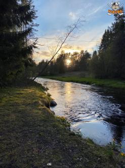 ВИКИНГ | Фото 15