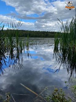 ВИКИНГ | Фото 16