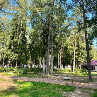 ДСООЛ "Факел" | Фото 10