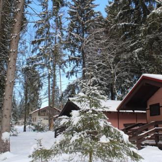 СОК Солонцово | Фото 2