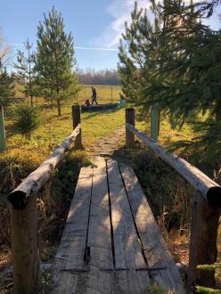 СОК Солонцово | Фото 6