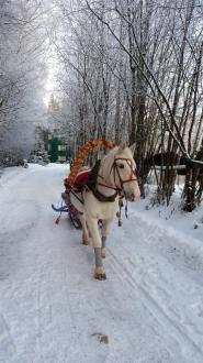СОК Солонцово | Фото 13