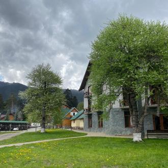 Орлиное гнездо | Фото 4