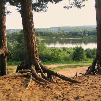 Малюшина дача | Фото 2