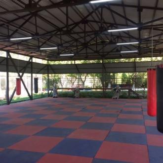 Солнечный берег | Фото 9