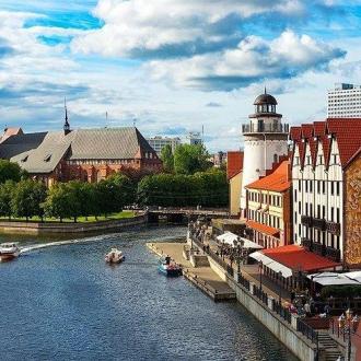 Альбатрос | Фото 1