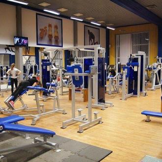 Альбатрос | Фото 3