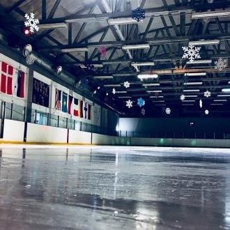 Альбатрос | Фото 4