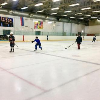 Альбатрос | Фото 5