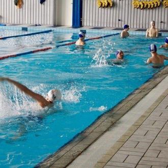 Альбатрос | Фото 6