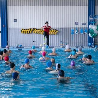 Альбатрос | Фото 7