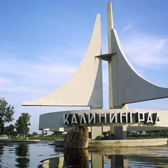 Альбатрос | Фото 15