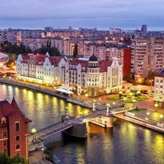 Альбатрос | Фото 19