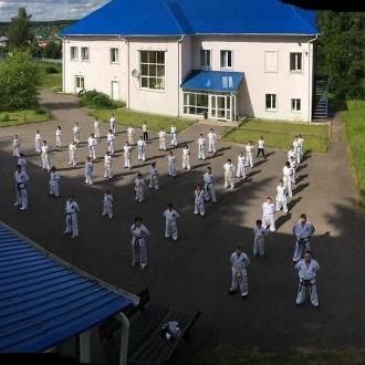 Воробьи | Фото 1