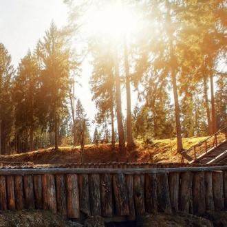 Воробьи | Фото 2