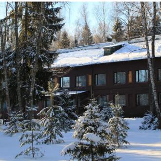 Воробьи | Фото 3