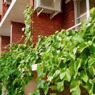 Космос | Фото 3