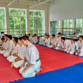 Спортивно-оздоровительный комплекс Ромашка | Фото 11