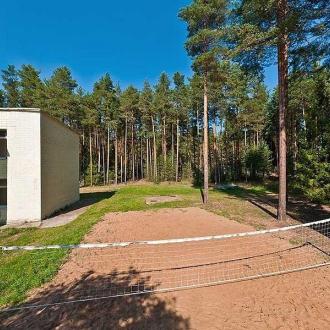 Сосновый Бор | Фото 19