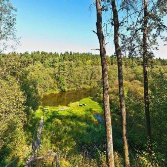 Сосновый Бор | Фото 32