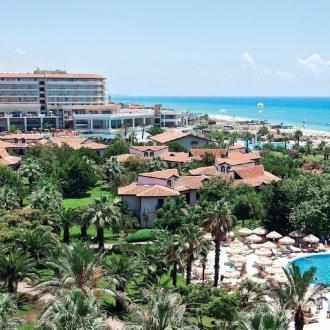 Starlight | Фото 2