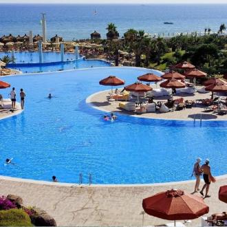 Starlight | Фото 4