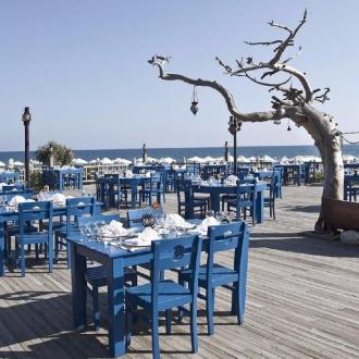 Starlight | Фото 13