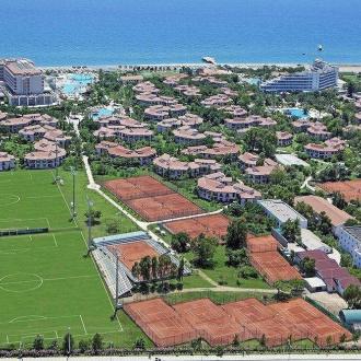 Starlight | Фото 15