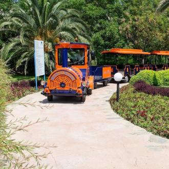 Starlight | Фото 22