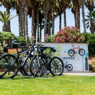 Lyttos Beach | Фото 12