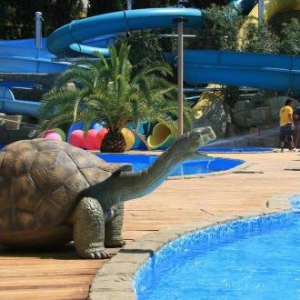 Заполярье | Фото 6