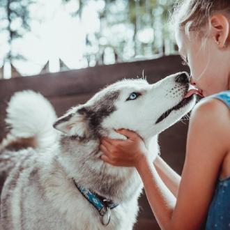 Поляна 1389 | Фото 23