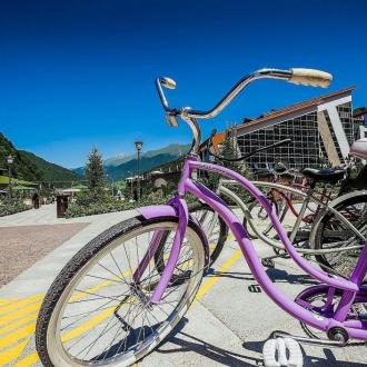 Поляна 1389 | Фото 24