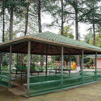 Бирюза | Фото 6