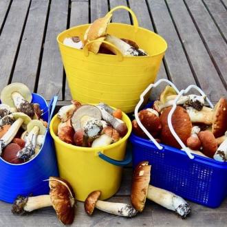 Савонлинна | Фото 7