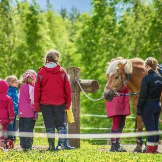 Савонлинна | Фото 8