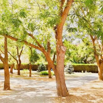 Северный | Фото 7